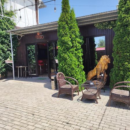 В Гостях На Иссык-Куле Hotel Cholpon-Ata Exterior foto